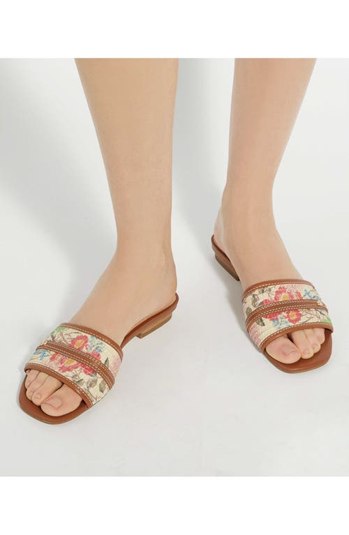 Dune London Leti Slide Sandal In Brown Multi