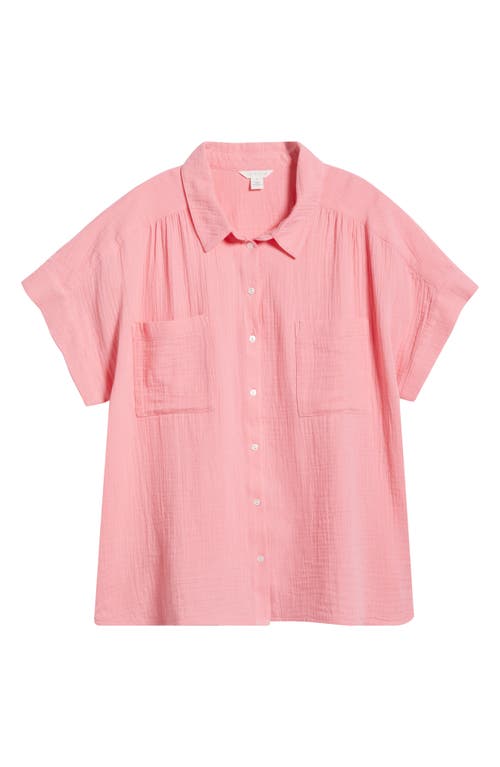 Caslonr Caslon(r) Cotton Gauze Button-up Shirt In Pink Geranium