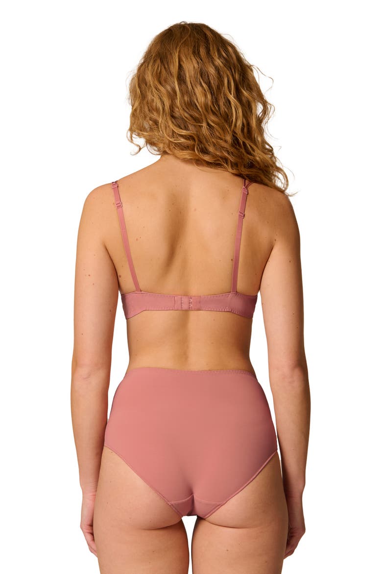 Delice Retro Briefs, Alternate, color, SMOKEY PINK