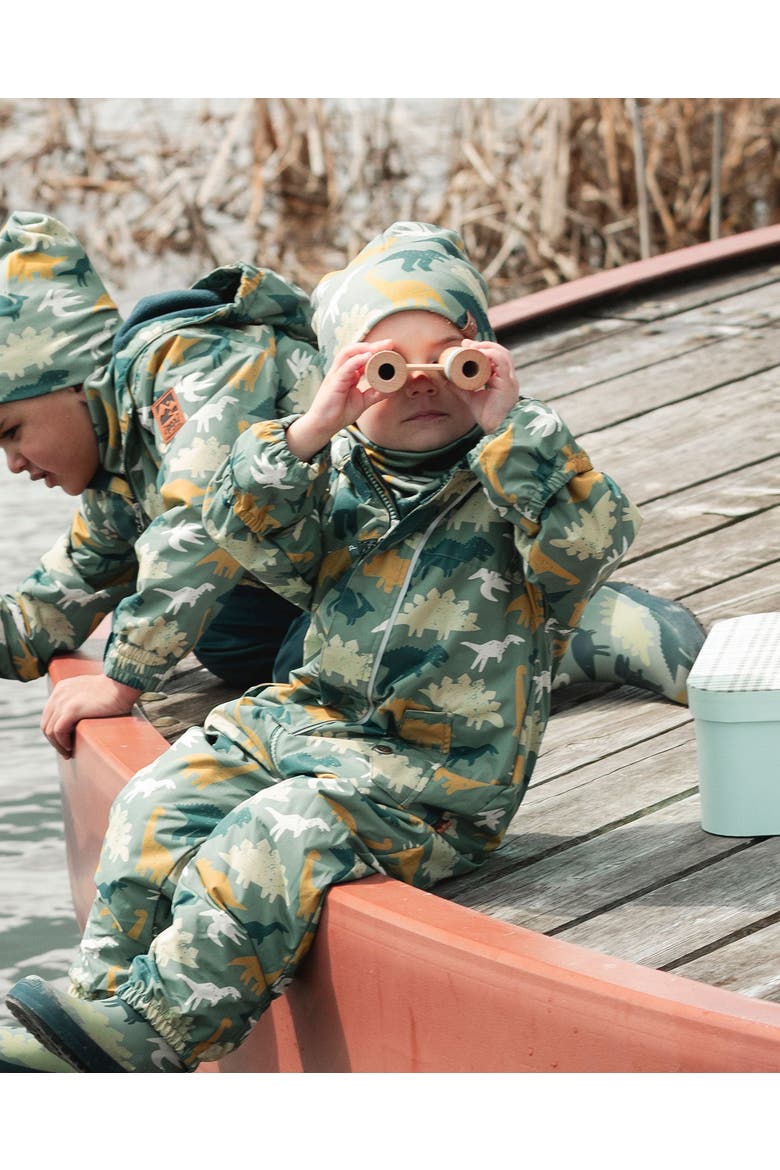 Mid-Season Printed One-Piece Outerwear with Hat, Alternate, color, Green Dinosaur Print