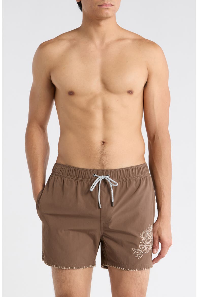 Embroidered Shortie Volley Swim Trunks, Main, color, COFFEE