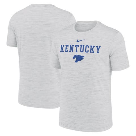 Men's Nike Ash Kentucky Wildcats 2025 Sideline Velocity Performance T-Shirt