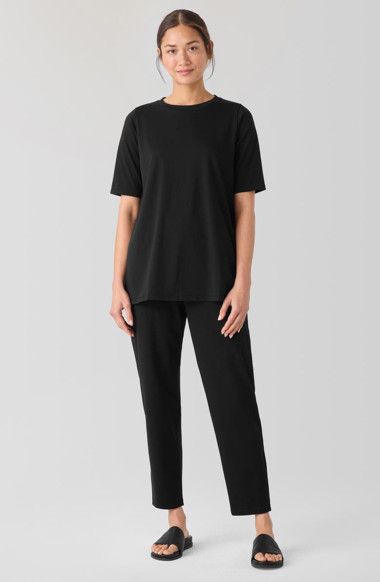 Eileen Fisher Crewneck Organic Cotton T-Shirt, Alternate, color, 