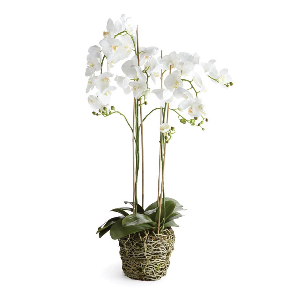 selected White
