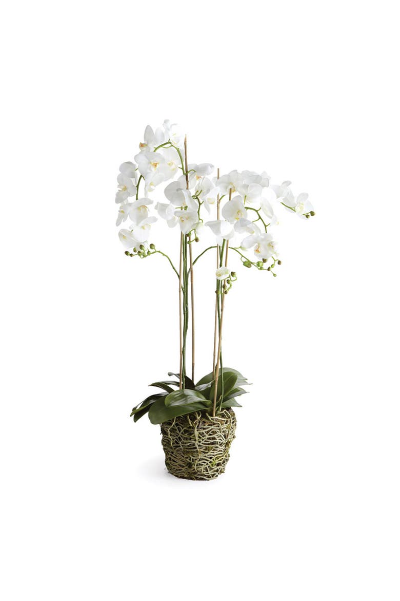 44" Phalaenopsis Orchid Drop-In Artificial Faux Floral Flower Plant, Main, color, White