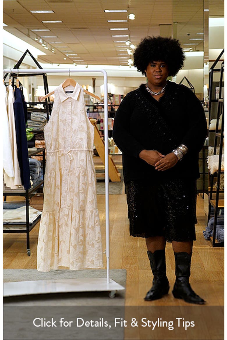 Sleeveless Embroidered Cotton Voile Tiered Shirtdress video