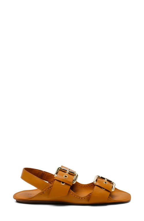 Free People Blossom Buckle Flat Sandal In Luggage Leather