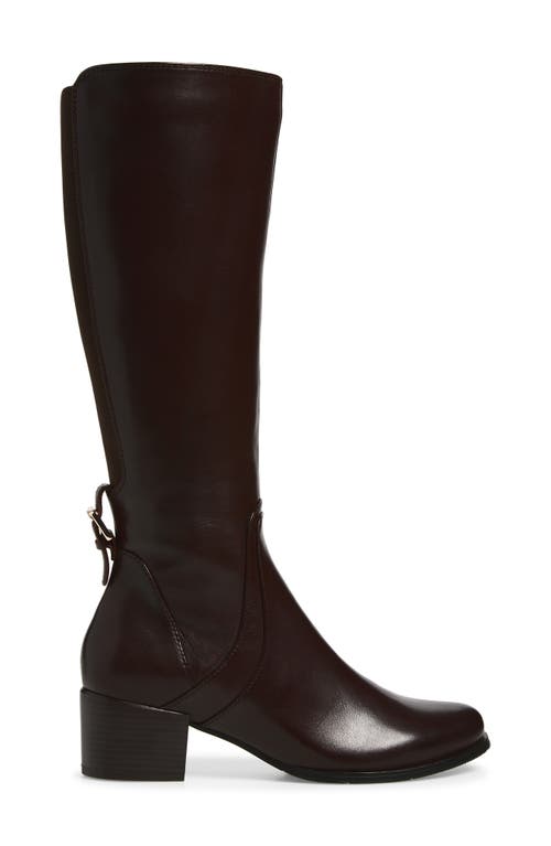 Regarde Le Ciel Jolene Knee High Boot In Black