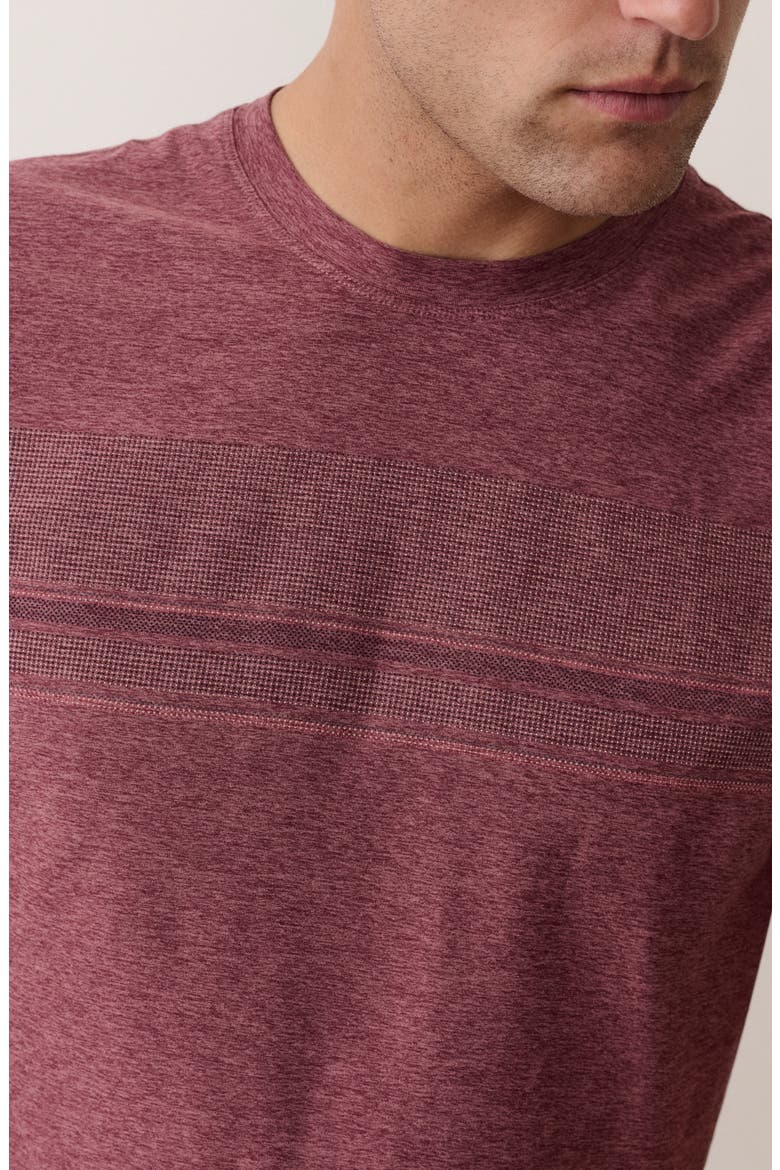 Everyday Sport T-Shirt, Alternate, color, WINETASTING HEATHER