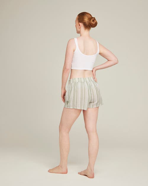 Nudea The Classic Boxer In Sage Stripe