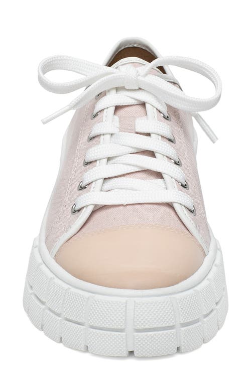 Shop Linea Paolo Kalaia Platform Sneaker In Pink/lotus