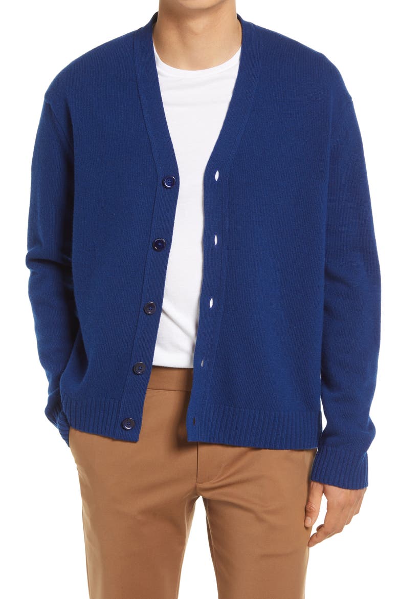 Bjørn 6333 Slim Fit V-Neck Cardigan, Main, color, COBALT BLUE