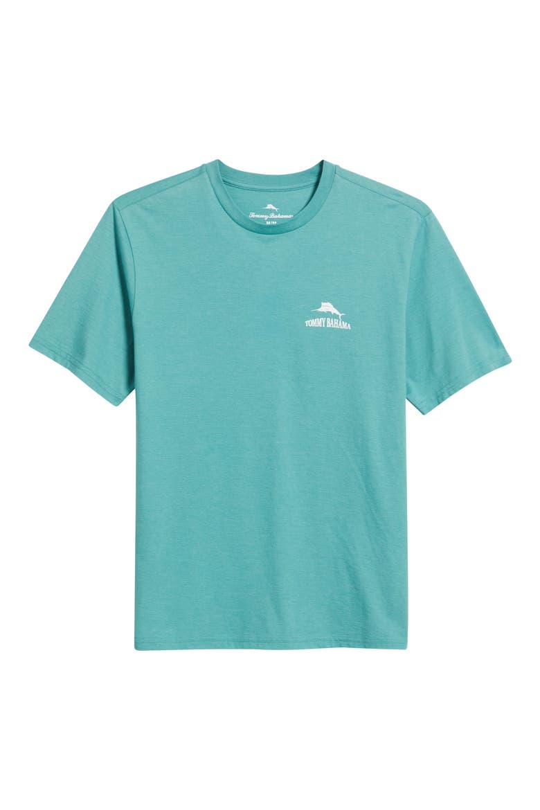 Dock It To Me Graphic T-Shirt, Alternate, color, BRISTOL BLUE HEATHER