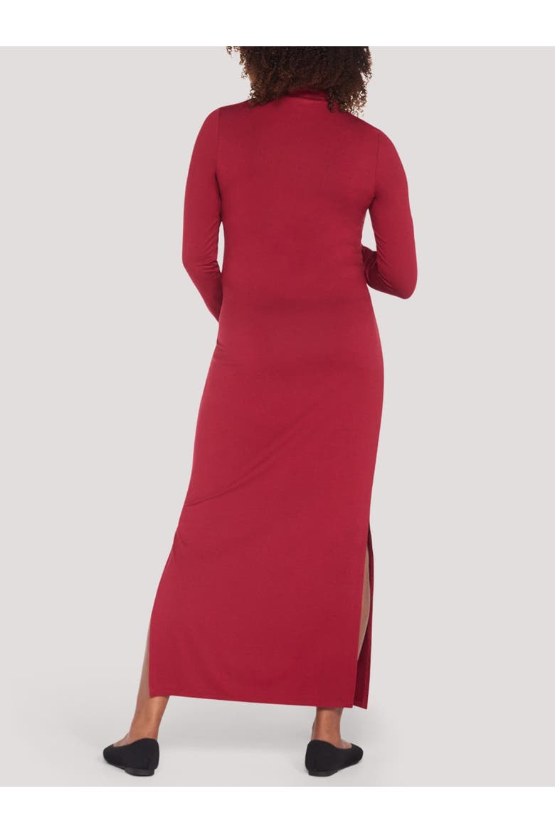 Turtleneck Long Sleeve Knit Maxi Dress, Alternate, color, Biking Red