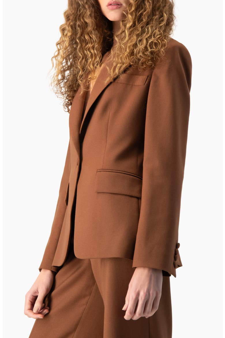 Drop-Shoulder Single-Button Blazer, Alternate, color, Chedron