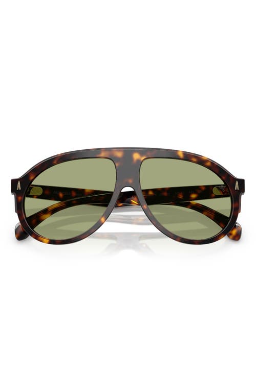 Moncler Fhaite Sunglasses In Dark Tortoise