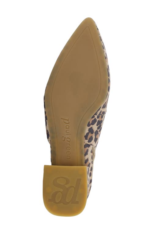 Paul Green Viola Slingback Pump