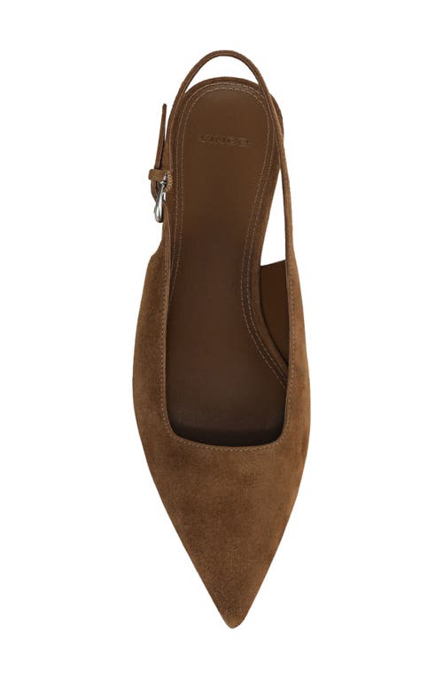 Vince Gracy Pointed Toe Slingback Flat In Brown