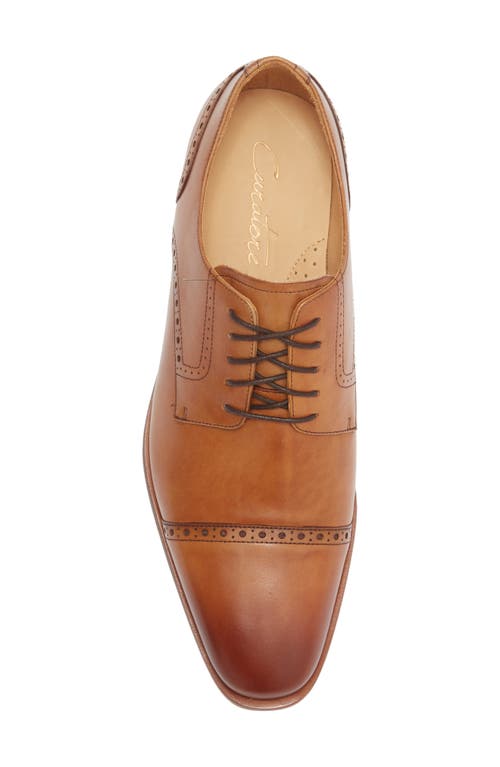 Curatore Spectre Brogue Derby In Brown