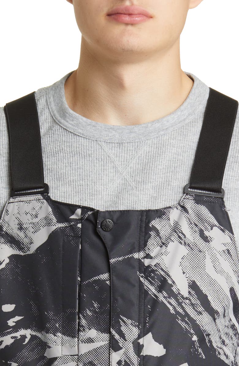 The North Face Freedom Waterproof Snow Bibs, Alternate, color, 