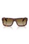 selected Classic Tortoise / Brown Gradi