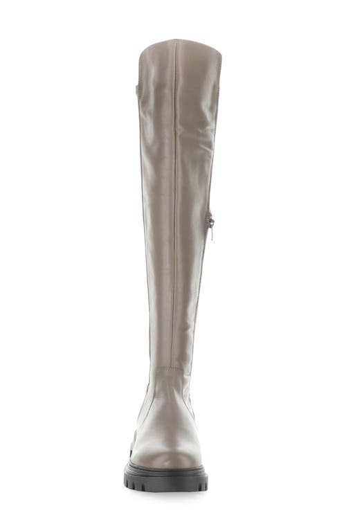 Bos. & Co. Fifth Waterproof Knee High Boot In Neutral
