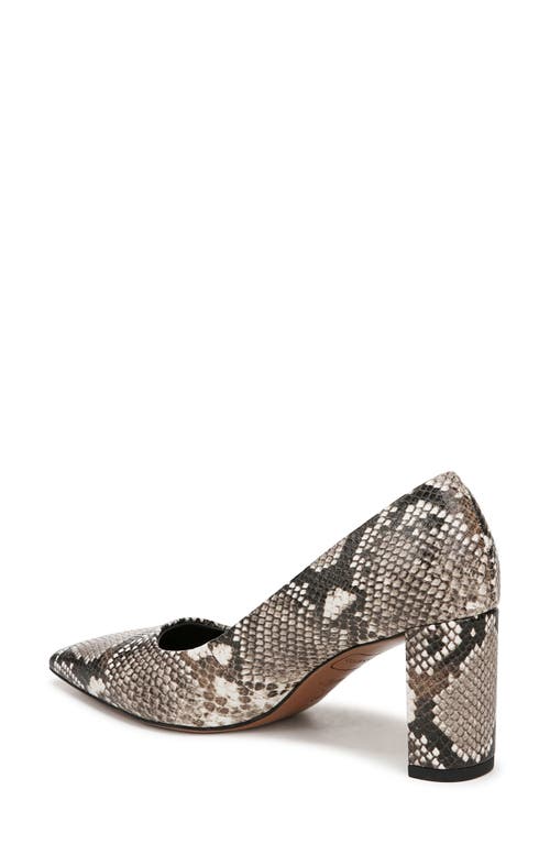 Franco Sarto Giovanna Pointed Toe Pump
