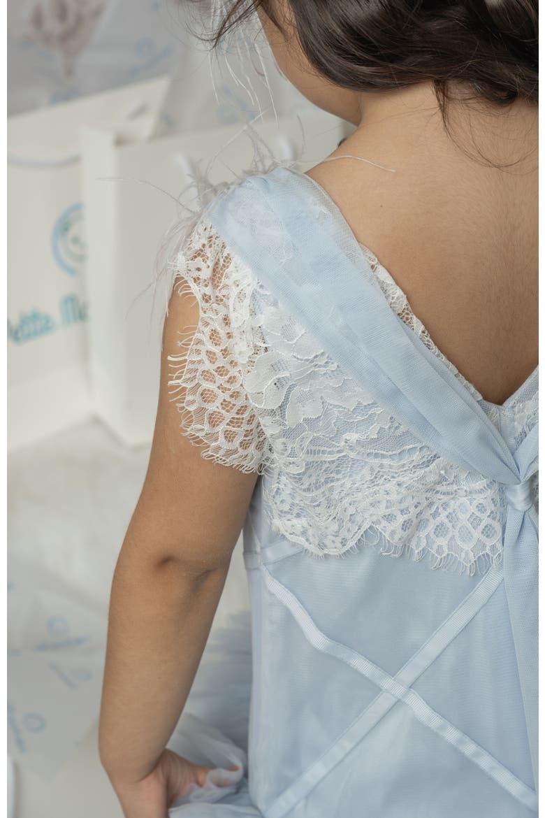 Skylar Tulle Tutu Dress, Alternate, color, Baby Blue
