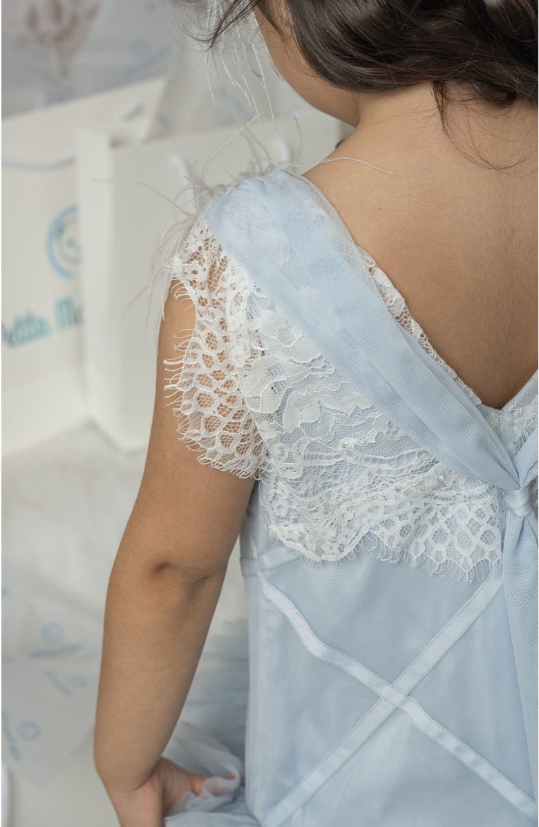 Petite Maison Kids Skylar Tulle Tutu Dress, Alternate, color, Baby Blue