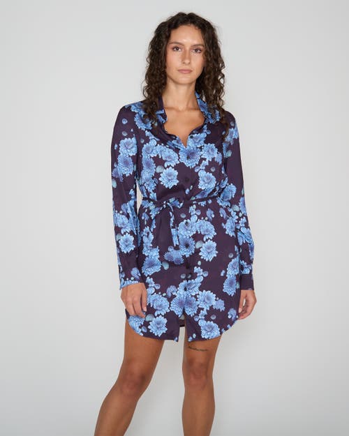 Lords Of Harlech Dorethy Shirt Dress In Blue