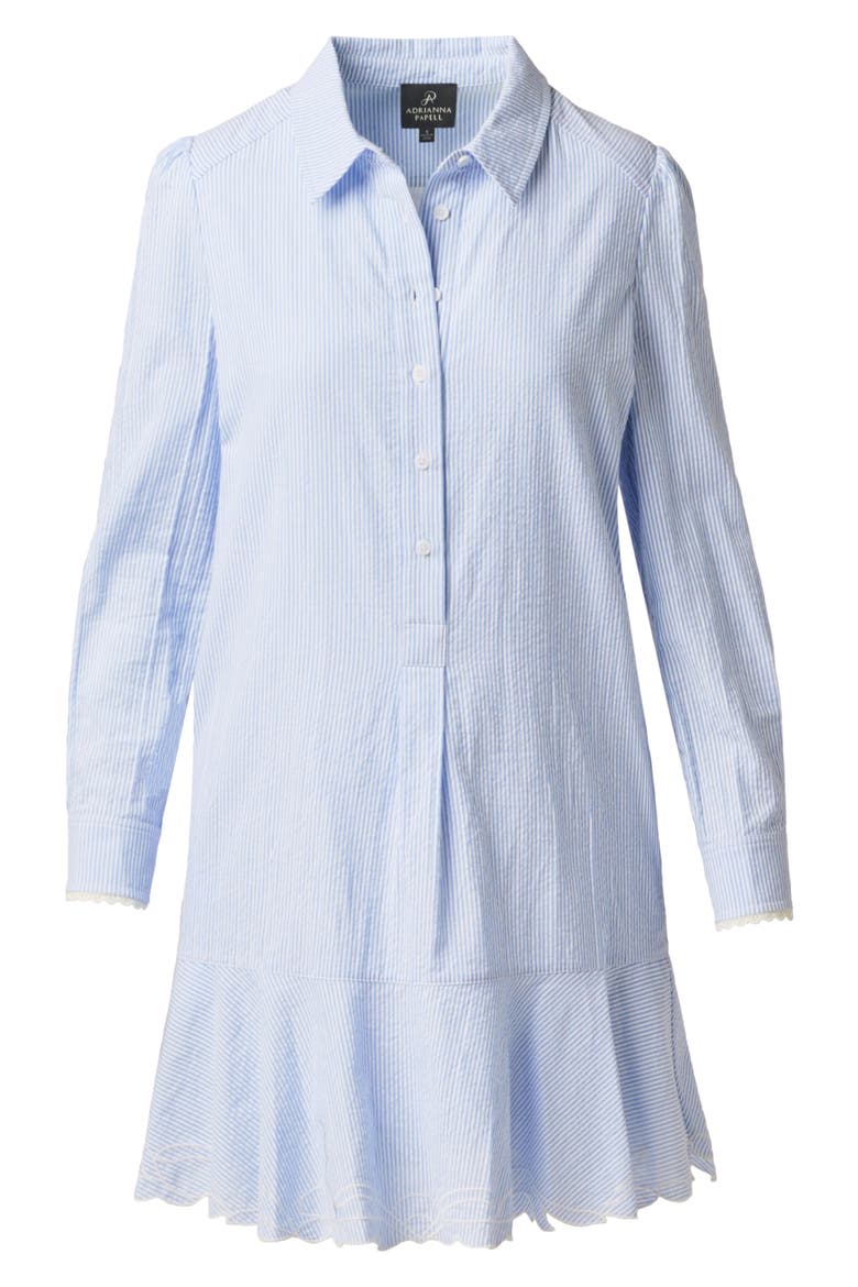 Hailey Stripe Button-Up Shift Shirtdress, Alternate, color, BLUE/ WHITE