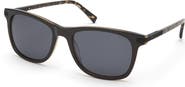 Ted Baker London 54mm Full Rim Square Sunglasses