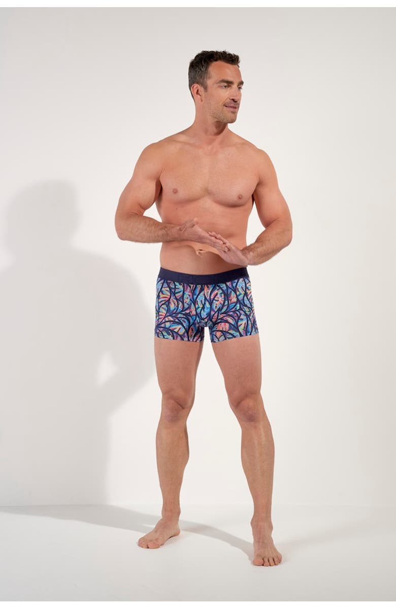 HOM Indian Creek Boxer Briefs, Alternate, color, Multico Print