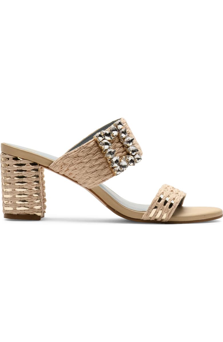 Frances Valentine Betty Raffia Block Heel Sandal, Alternate, color,