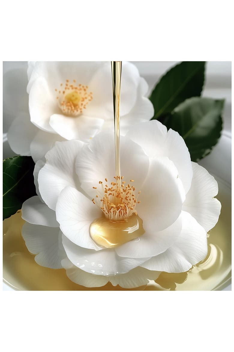 Huile de Magnolia Beauty-Enhancing Natural Oils for Face & Body, Alternate, color, NO COLOR