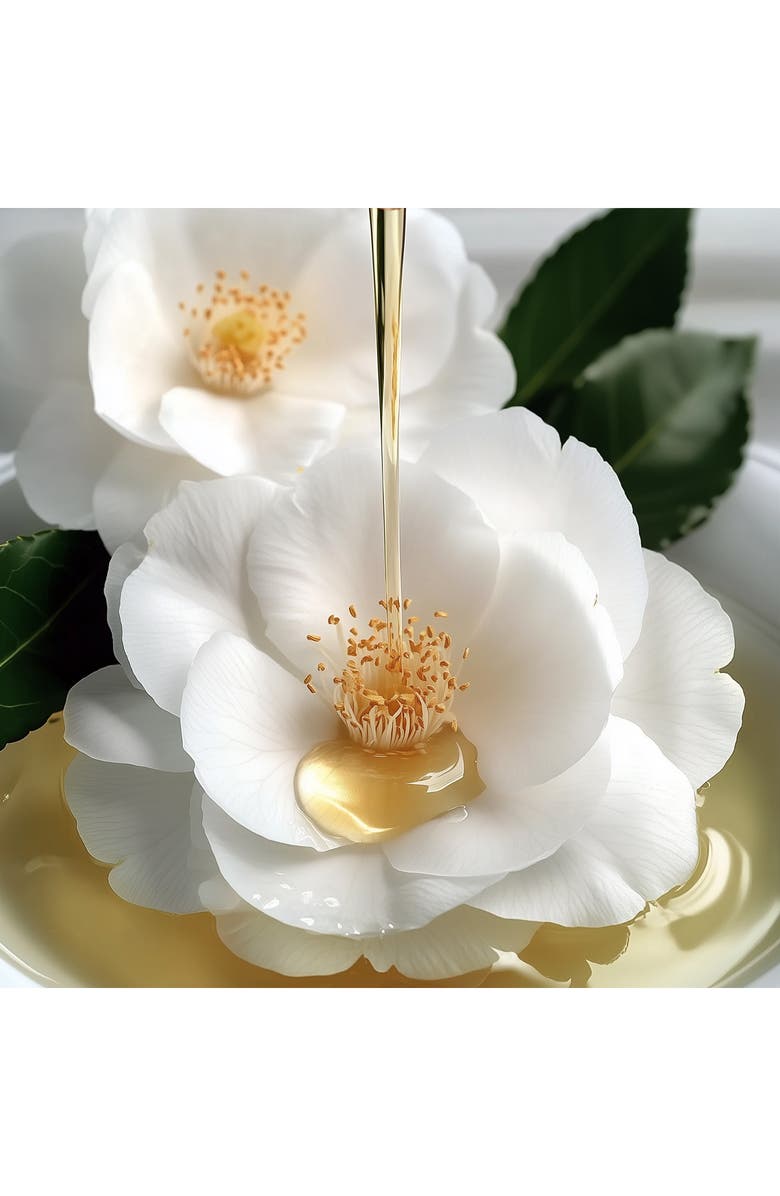 Leonor Greyl PARIS Huile de Magnolia Beauty-Enhancing Natural Oils for Face & Body, Alternate, color, 