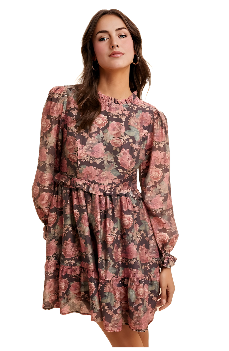 Knit and Lounge Romantic Floral Ruffle Mini Dress with Sheer Long Sleeves, Main, color,