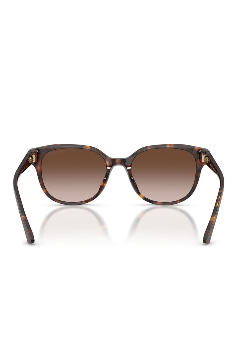 55mm Gradient Phantos Sunglasses, Alternate, color, HAVANA / GRADIENT BROWN
