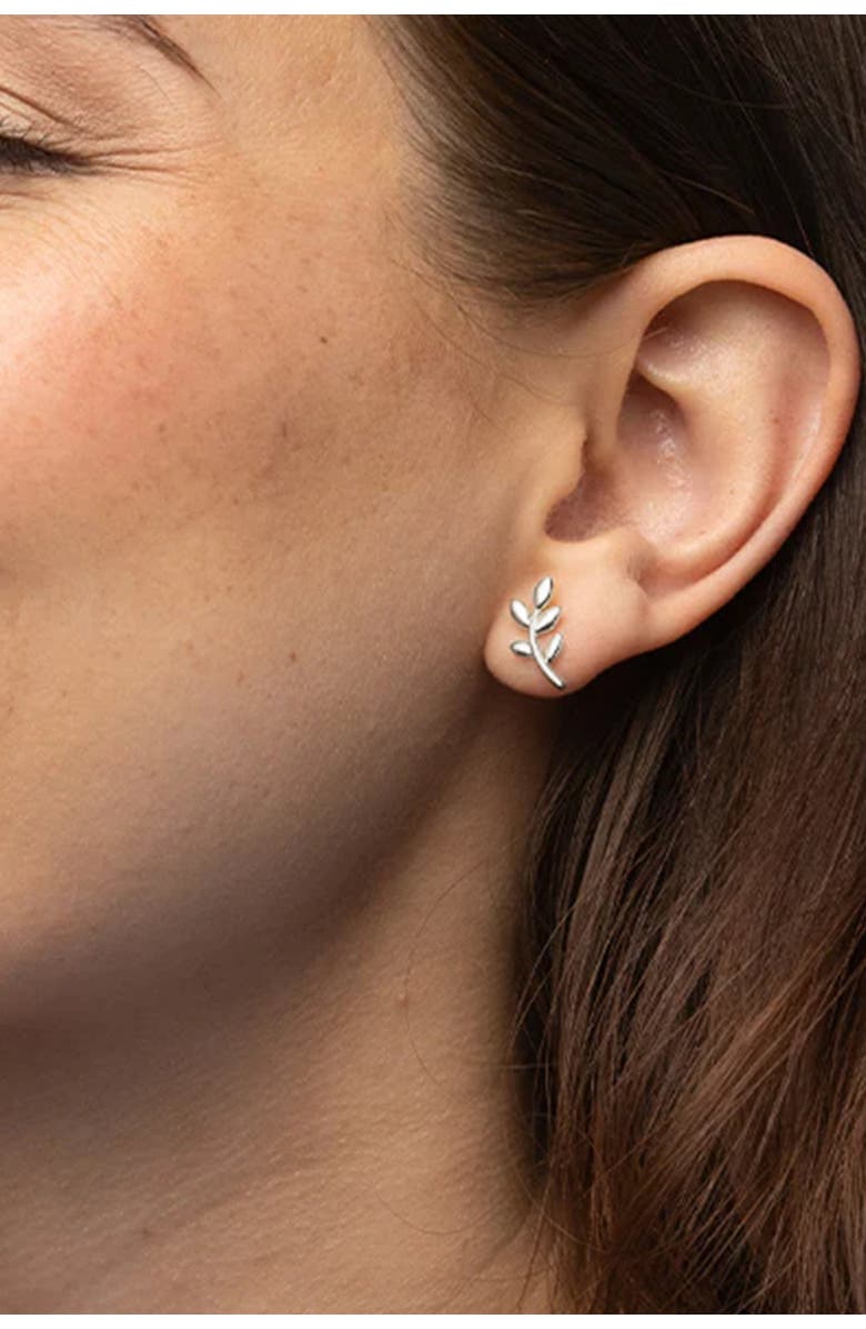 Bearfruit Jewelry Sterling Silver 18k Gold Plated Olivia Earrings Dainty Daily Wear, Alternate, color, Silver