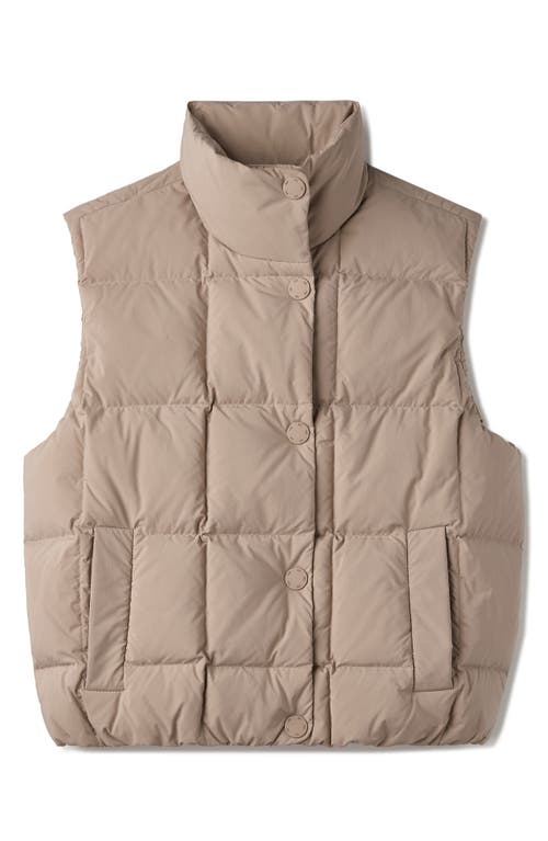 Rhone Powder 650 Fill Power Down Puffer Vest In Neutral