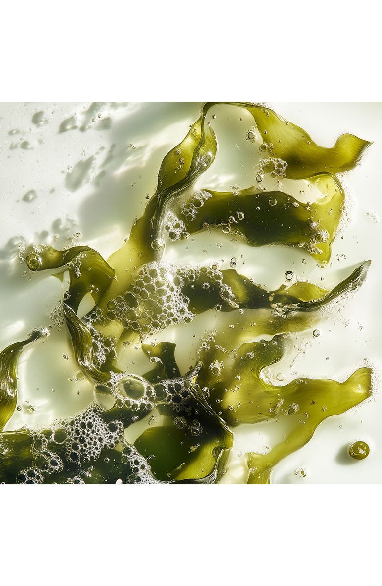 Leonor Greyl PARIS Bain Volumateur aux Algues- Volumizing Shampoo for Long, Fine Hair, Alternate, color, 