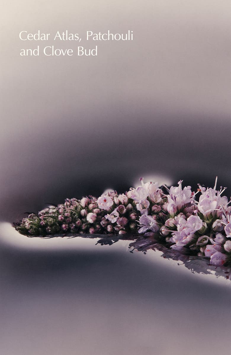 Aesop Eleos Nourishing Body Cleanser, Alternate, color, 