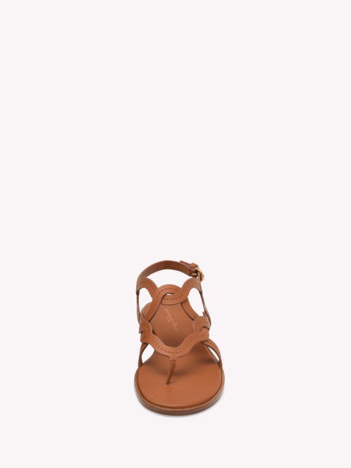 Gianvito Rossi Amalfi Thong Sandal In Brown