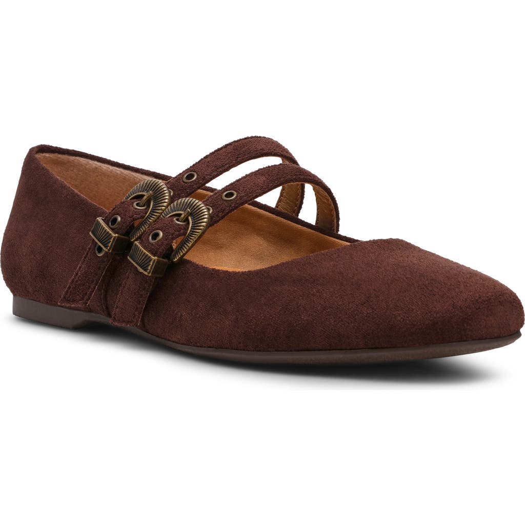 Dolce Vita Dv By Mayana Mary Jane Flat In Brown