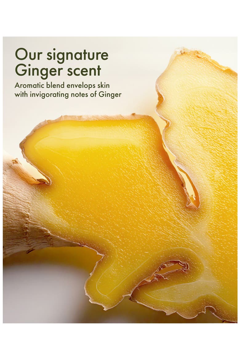Ginger Mini Moments Gift Set for Hand & Body Care $31 Value, Alternate, color, BEIGE