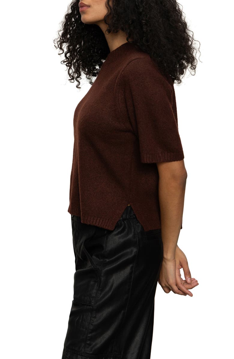 Sanctuary Short Sleeve Sweater, Alternate, color, 