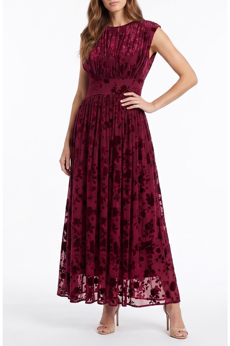 Floral Velvet Burnout Gown, Main, color, WINE