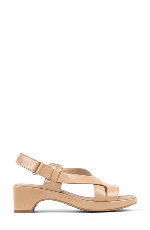 DONALD PLINER DONALD PLINER ROMIN SLINGBACK SANDAL
