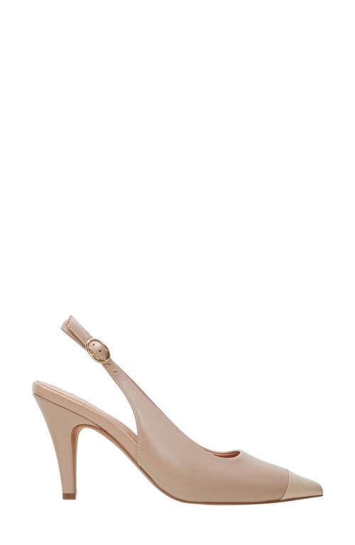 Linea Paolo Niyka Pointed Toe Slingback Pump In Nude