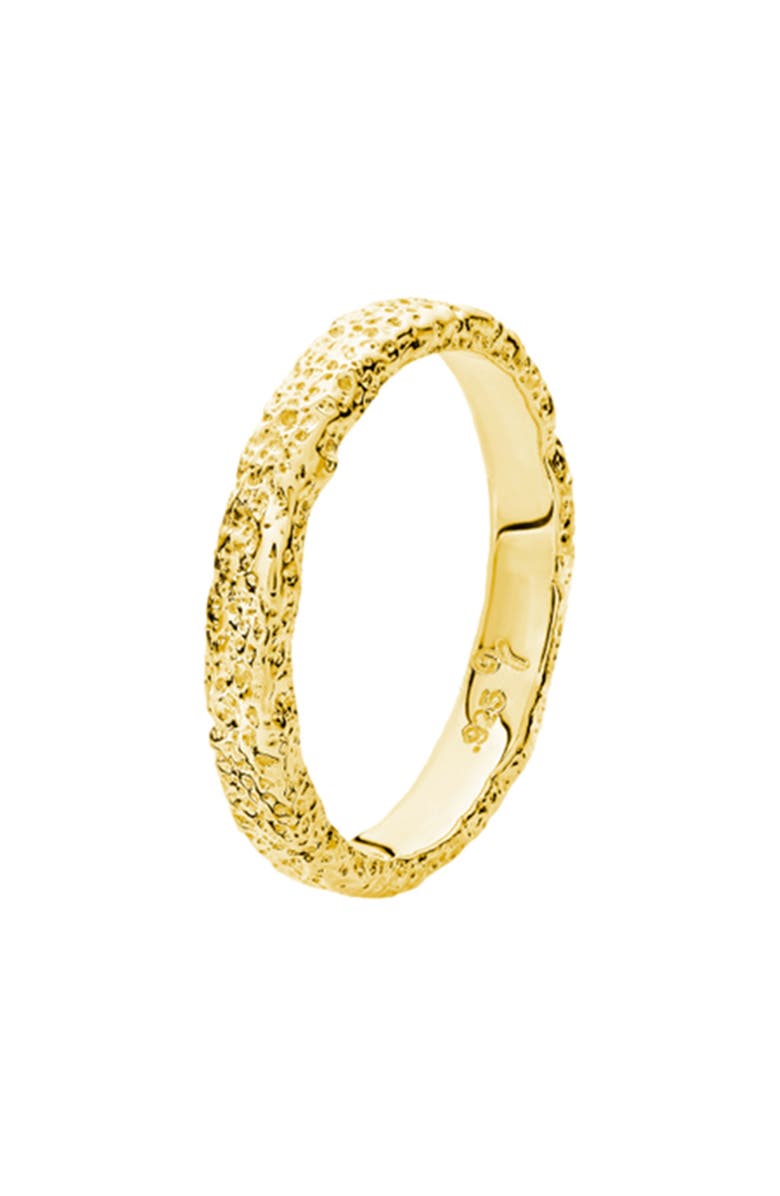 Lucy Quartermaine Hula Slim Ring in Gold Vermeil, Alternate, color, Gold Vermeil